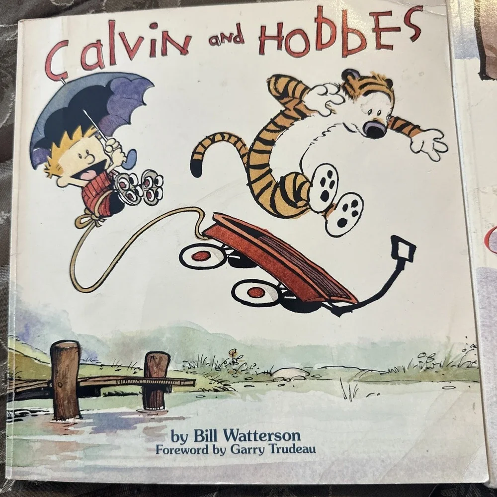 Calvin and Hobbes: A Calvin and Hobbes 2 Children's graphic novel Books